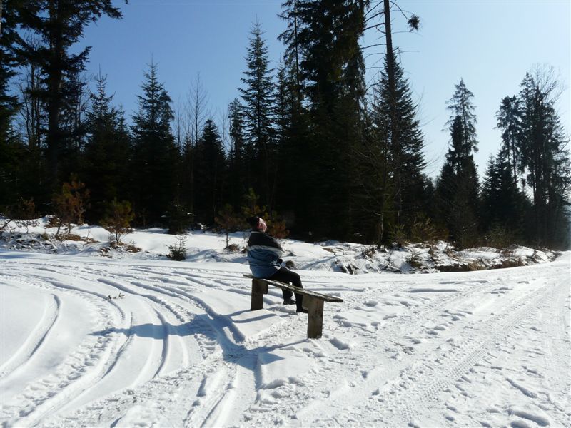 Sidzina 106